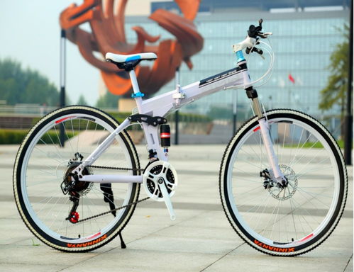 国产自行车销量登顶全球，核心零件依赖日企，利润流失隐忧浮现